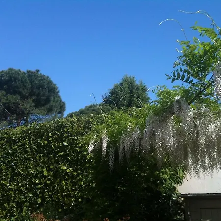 Monza 公寓 *